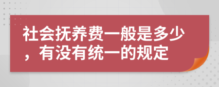 社会抚养费一般是多少，有没有统一的规定