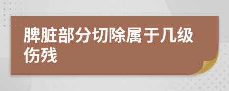 脾脏部分切除属于几级伤残