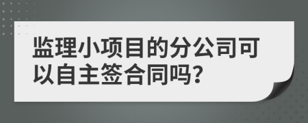 监理小项目的分公司可以自主签合同吗？