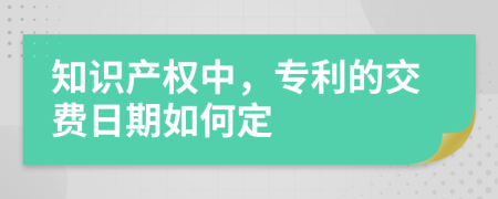 知识产权中，专利的交费日期如何定