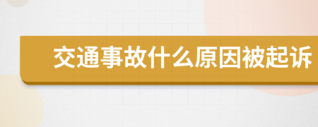 交通事故什么原因被起诉