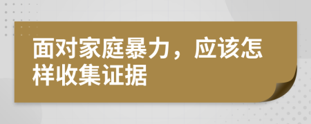 面对家庭暴力，应该怎样收集证据