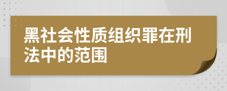 黑社会性质组织罪在刑法中的范围