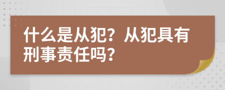 什么是从犯？从犯具有刑事责任吗？