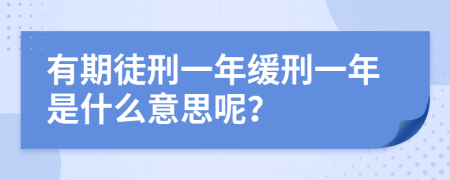 有期徒刑一年缓刑一年是什么意思呢？