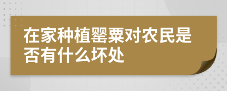 在家种植罂粟对农民是否有什么坏处