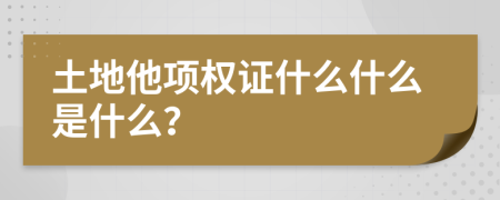 土地他项权证什么什么是什么？