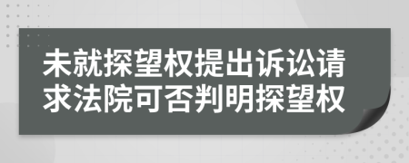 未就探望权提出诉讼请求法院可否判明探望权