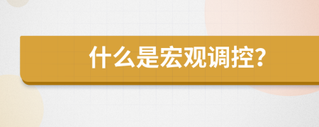 什么是宏观调控？