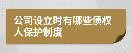 公司设立时有哪些债权人保护制度