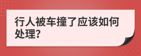 行人被车撞了应该如何处理？