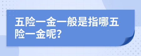 五险一金一般是指哪五险一金呢？