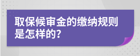 取保候审金的缴纳规则是怎样的？