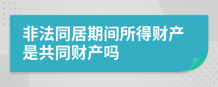 非法同居期间所得财产是共同财产吗