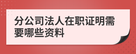 分公司法人在职证明需要哪些资料