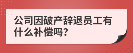 公司因破产辞退员工有什么补偿吗？