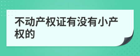 不动产权证有没有小产权的