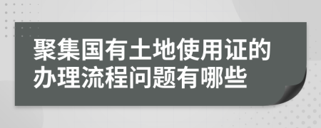 聚集国有土地使用证的办理流程问题有哪些