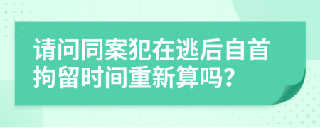 请问同案犯在逃后自首拘留时间重新算吗？