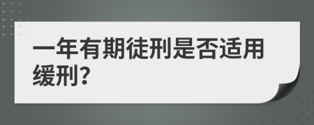 一年有期徒刑是否适用缓刑？