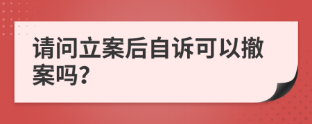 请问立案后自诉可以撤案吗？