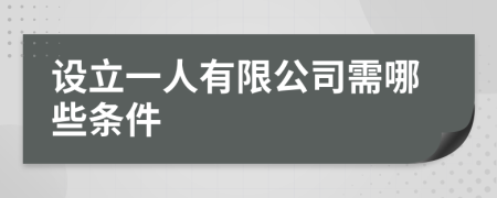 设立一人有限公司需哪些条件