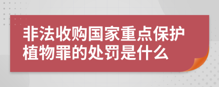 非法收购国家重点保护植物罪的处罚是什么