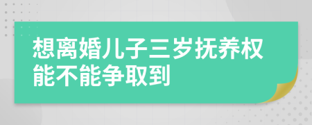 想离婚儿子三岁抚养权能不能争取到