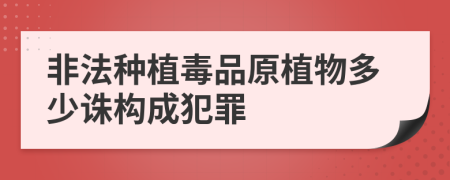 非法种植毒品原植物多少诛构成犯罪