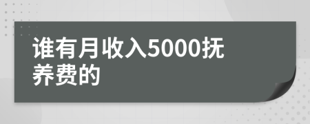 谁有月收入5000抚养费的