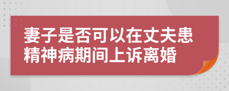 妻子是否可以在丈夫患精神病期间上诉离婚