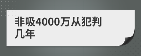 非吸4000万从犯判几年