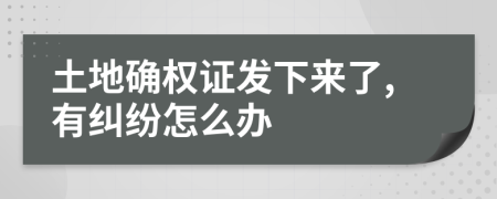 土地确权证发下来了,有纠纷怎么办