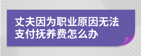 丈夫因为职业原因无法支付抚养费怎么办