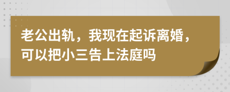 老公出轨，我现在起诉离婚，可以把小三告上法庭吗