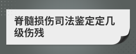 脊髓损伤司法鉴定定几级伤残