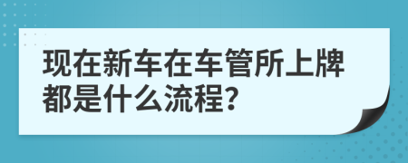 现在新车在车管所上牌都是什么流程？