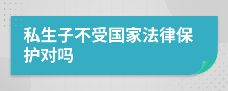 私生子不受国家法律保护对吗