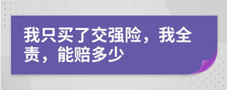 我只买了交强险，我全责，能赔多少