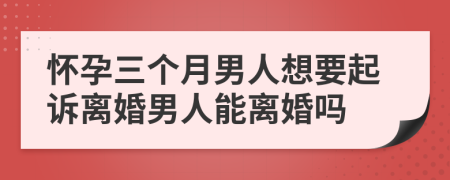 怀孕三个月男人想要起诉离婚男人能离婚吗