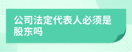 公司法定代表人必须是股东吗