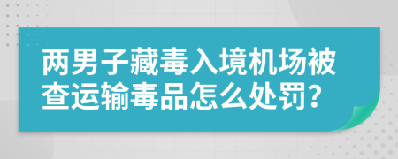 两男子藏毒入境机场被查运输毒品怎么处罚？