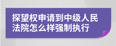 探望权申请到中级人民法院怎么样强制执行