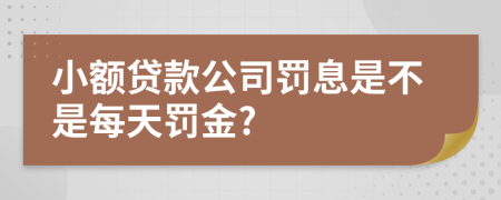 小额贷款公司罚息是不是每天罚金?