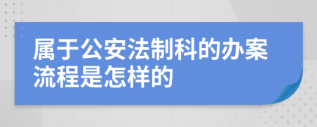 属于公安法制科的办案流程是怎样的