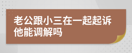 老公跟小三在一起起诉他能调解吗