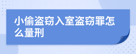 小偷盗窃入室盗窃罪怎么量刑