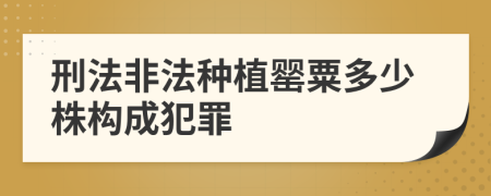 刑法非法种植罂粟多少株构成犯罪