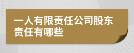 一人有限责任公司股东责任有哪些