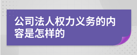 公司法人权力义务的内容是怎样的